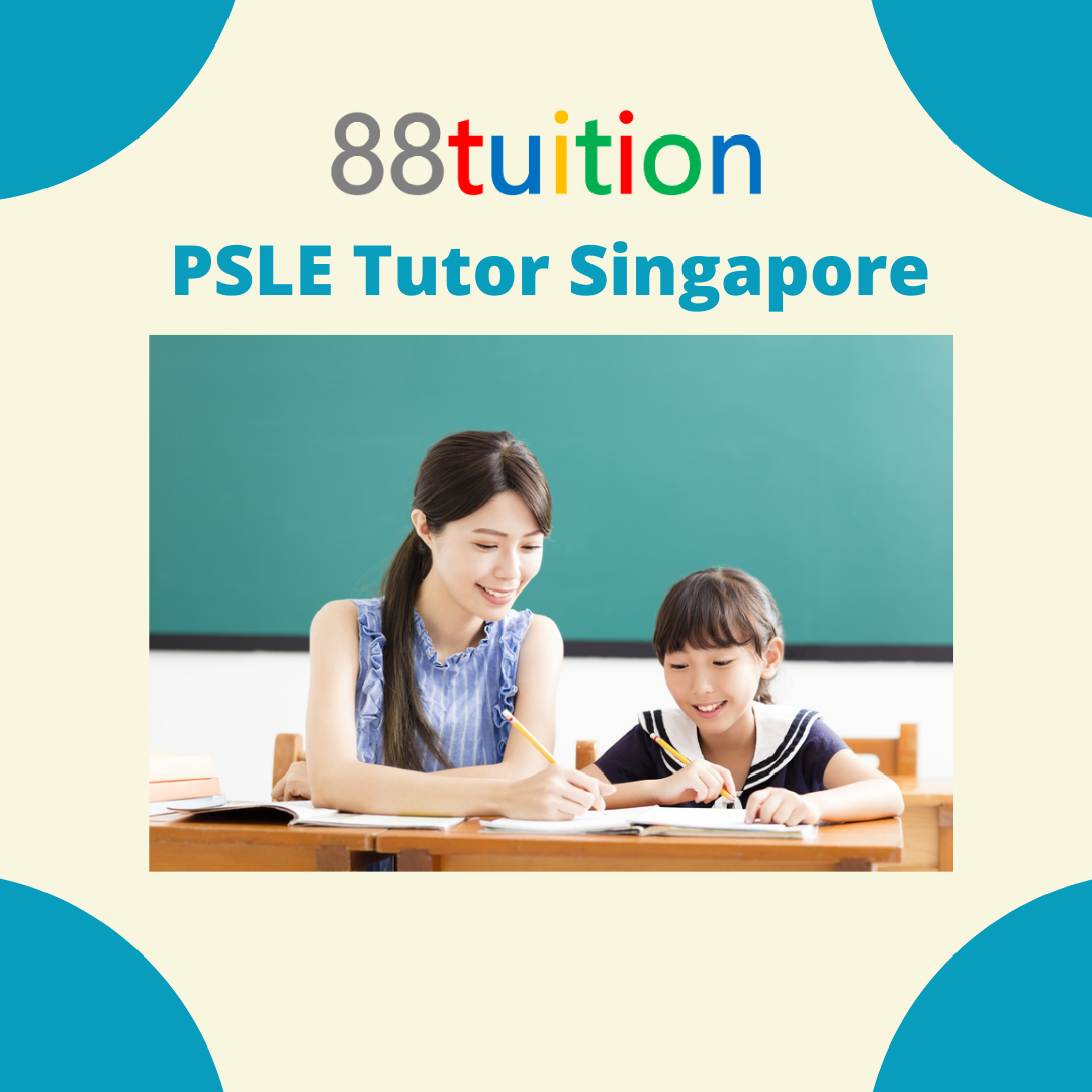 How to get the best tutor service for your children's education 